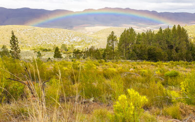 Chasing adventure on the Cango Route