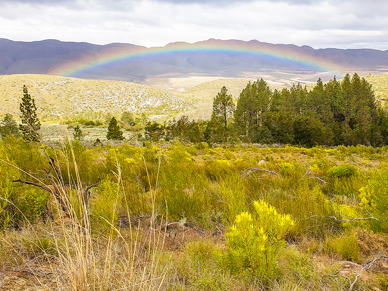 Chasing adventure on the Cango Route